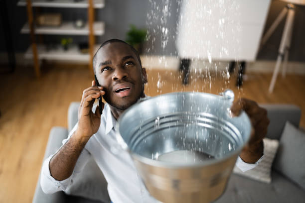 Best Sewage cleanup and water damage restoration  in Frostproof, FL