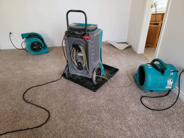24/7 water damage repair in FL