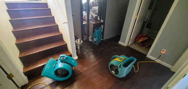 Best Flood damage cleanup  in Frostproof, FL