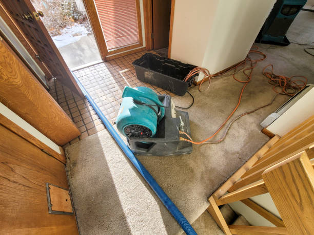 Best Water damage contractors near me  in Frostproof, FL