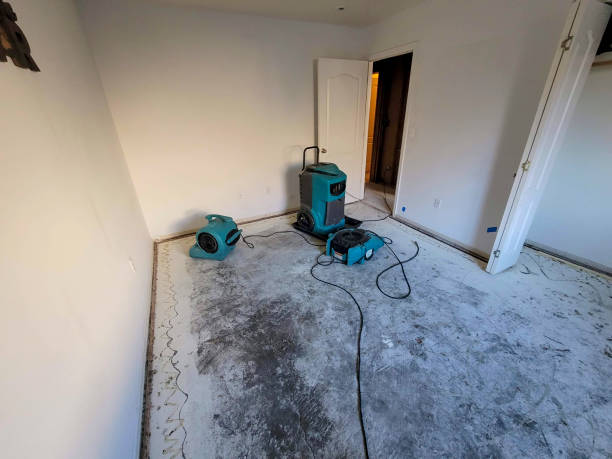 Best Flooded house restoration  in Frostproof, FL