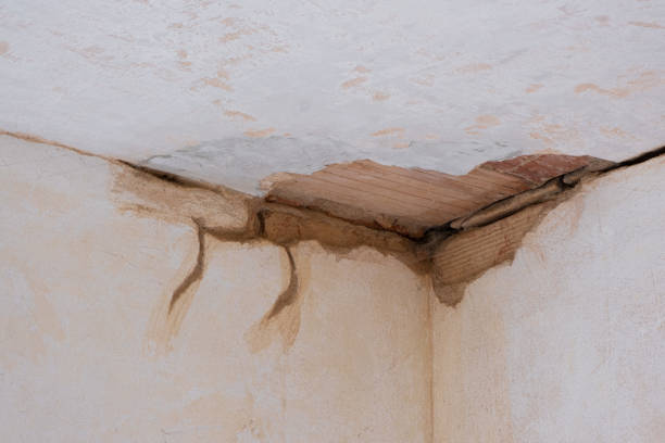 Best Fire Damage Restoration  in Frostproof, FL