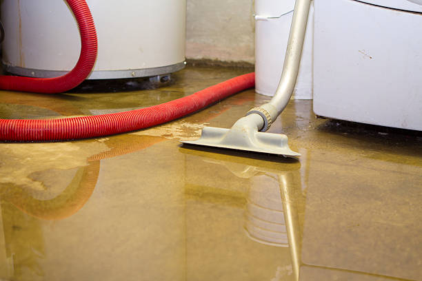 Best Professional water damage repair  in Frostproof, FL