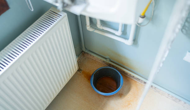 Best Flooded house restoration  in Frostproof, FL