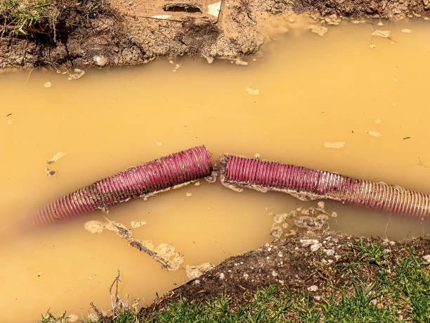 Best Emergency water damage restoration  in Frostproof, FL