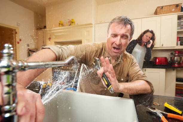 Best Water damage cleanup near me  in Frostproof, FL